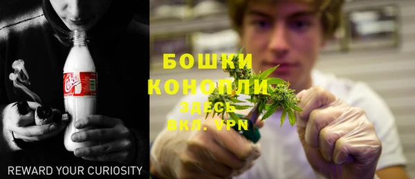 PSILOCYBIN Переславль-Залесский