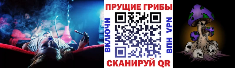Псилоцибиновые грибы Magic Shrooms  где купить   Райчихинск 